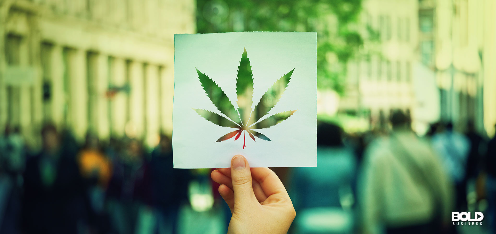 someone celebrating cannabis tax revenues