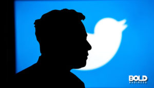 Elon Musk’s first year at X in silhouette