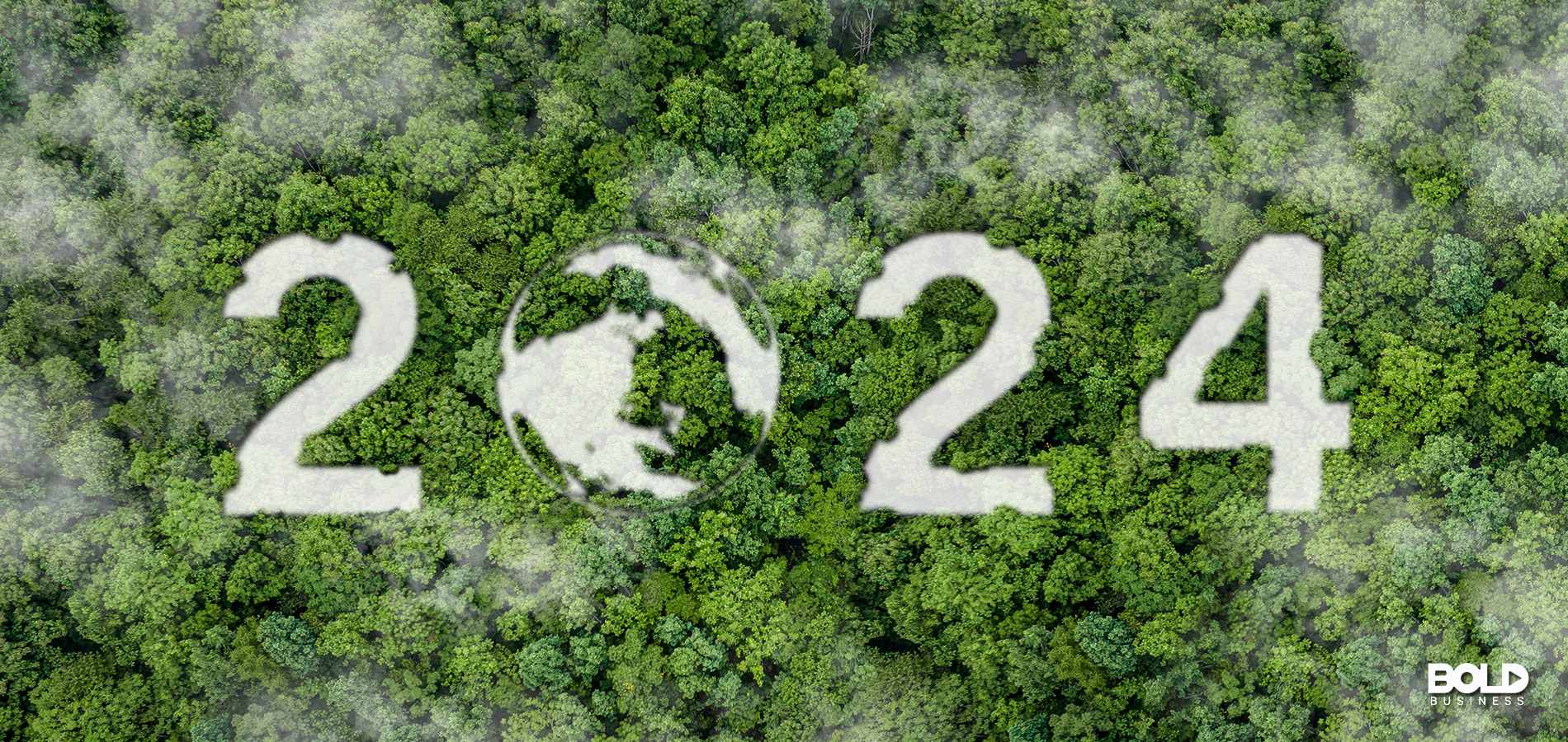 someone carved 2024 onto their lawn