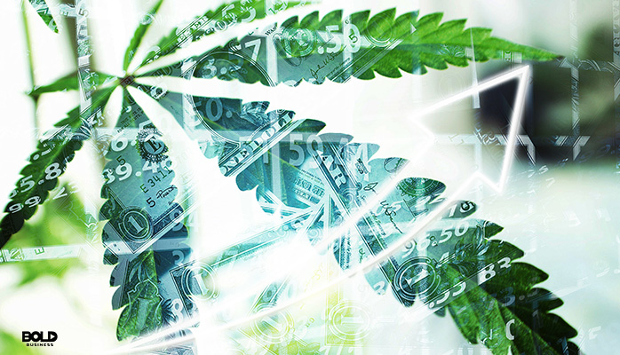 a big marijuana leaf on a grid
