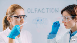 some doctors exploring smell therapy