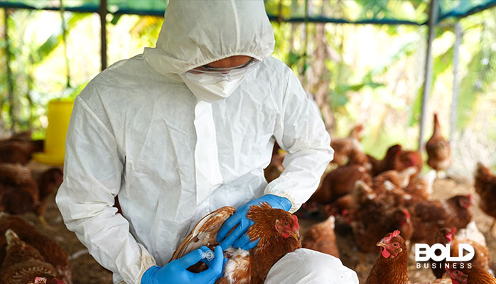 a dude dealing with bird flu in America