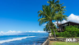 an idyllic scene at someone's beach house